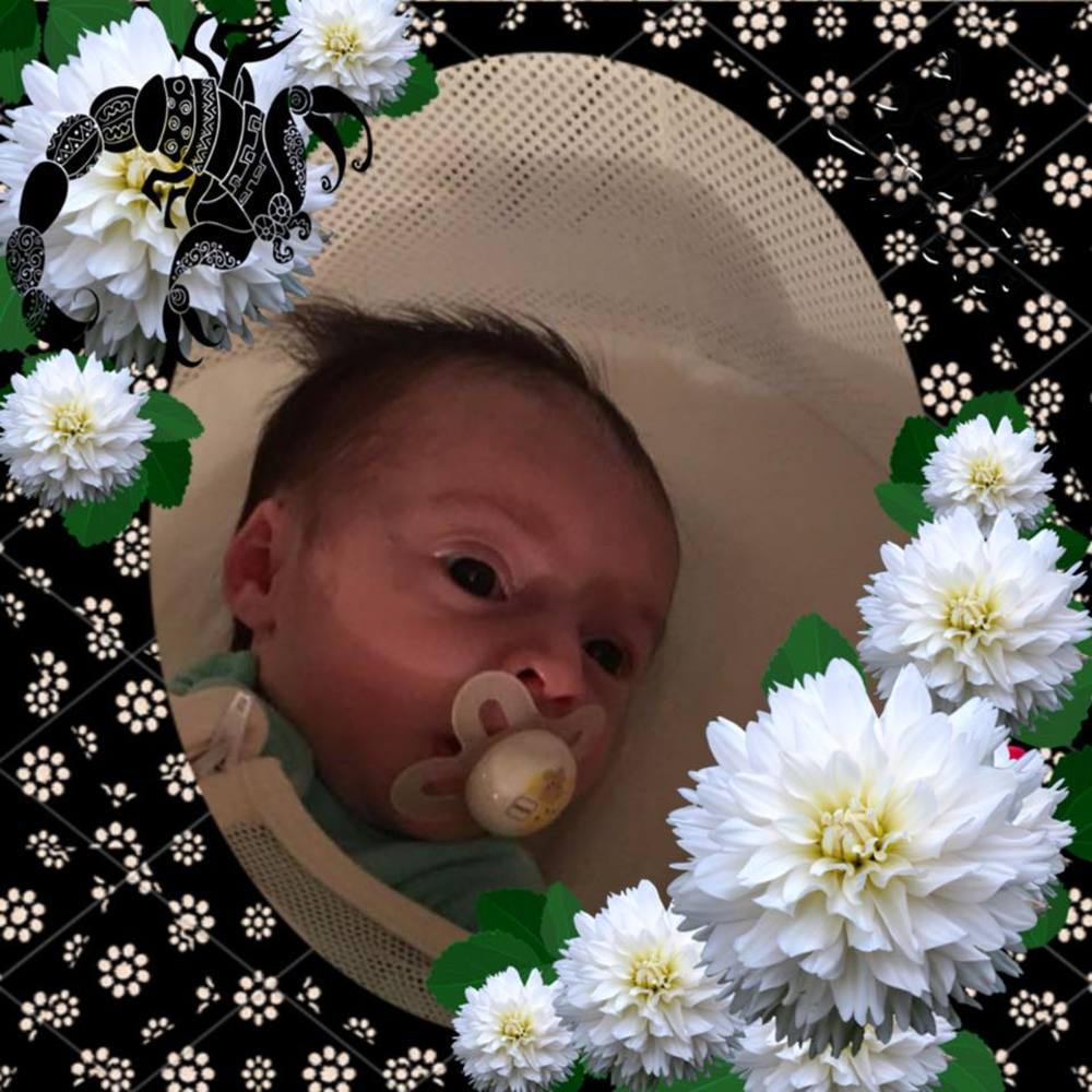 Meet your Posher, Heidi